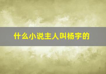 什么小说主人叫杨宇的