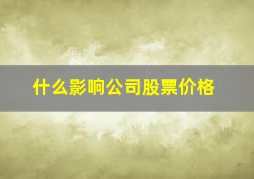 什么影响公司股票价格