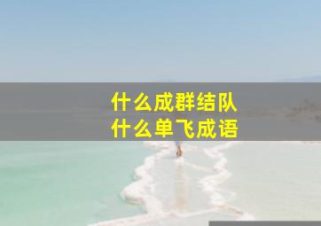 什么成群结队什么单飞成语