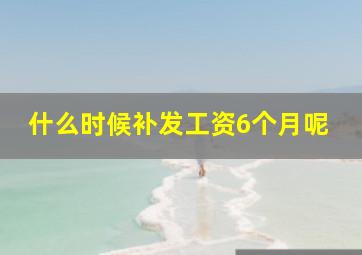 什么时候补发工资6个月呢