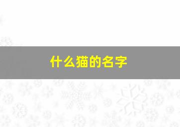 什么猫的名字