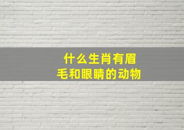 什么生肖有眉毛和眼睛的动物