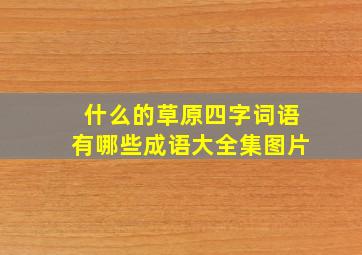 什么的草原四字词语有哪些成语大全集图片