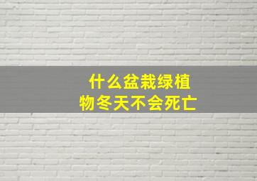 什么盆栽绿植物冬天不会死亡