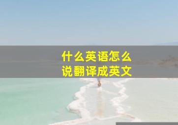 什么英语怎么说翻译成英文