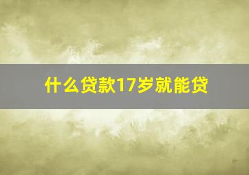 什么贷款17岁就能贷