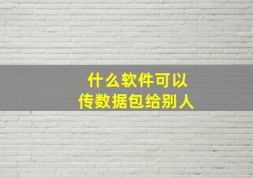 什么软件可以传数据包给别人