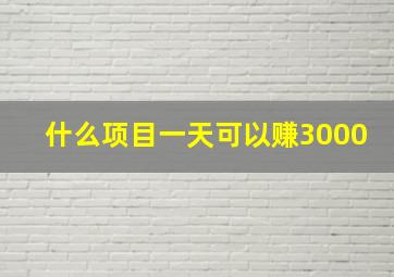 什么项目一天可以赚3000