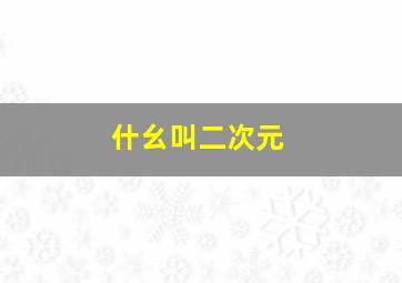 什幺叫二次元