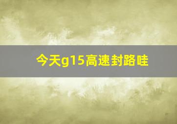 今天g15高速封路哇