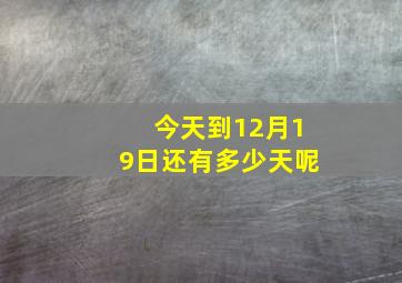 今天到12月19日还有多少天呢