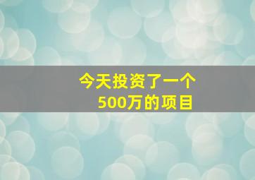 今天投资了一个500万的项目