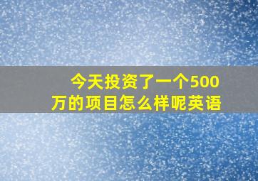 今天投资了一个500万的项目怎么样呢英语