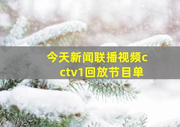 今天新闻联播视频cctv1回放节目单