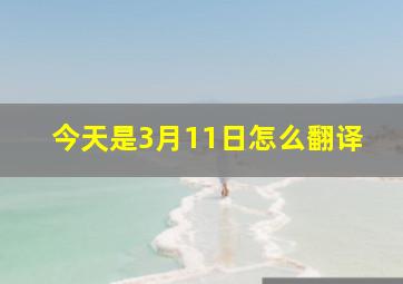 今天是3月11日怎么翻译