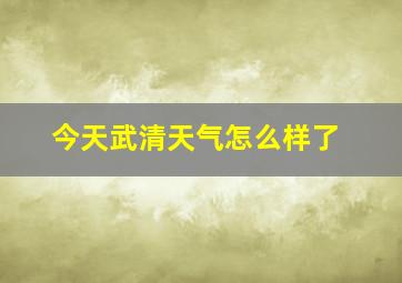 今天武清天气怎么样了