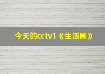 今天的cctv1《生活圈》