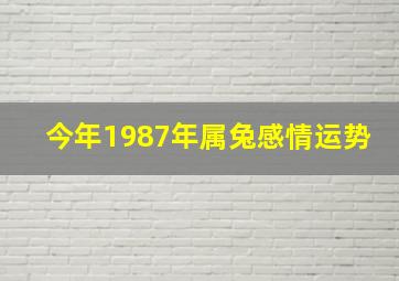 今年1987年属兔感情运势