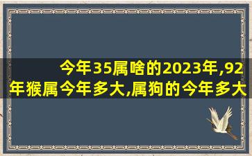 今年35属啥的2023年,92年猴属今年多大,属狗的今年多大