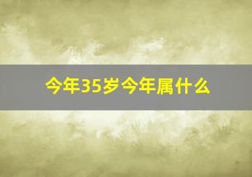 今年35岁今年属什么