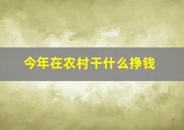 今年在农村干什么挣钱