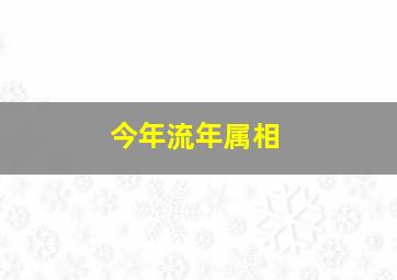 今年流年属相