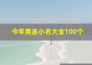 今年男孩小名大全100个