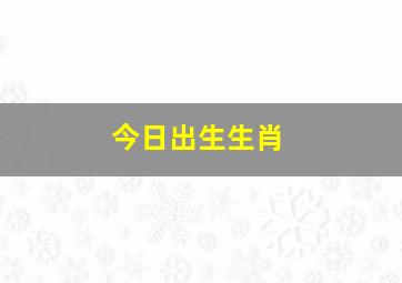 今日出生生肖