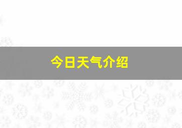 今日天气介绍