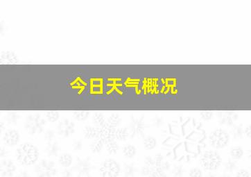 今日天气概况