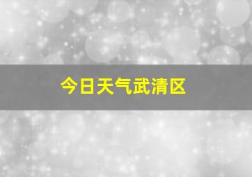 今日天气武清区