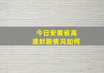 今日安徽省高速封路情况如何