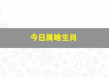 今日属啥生肖