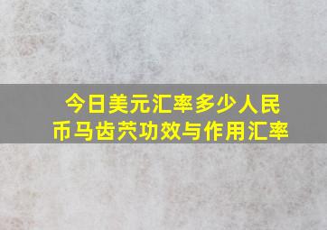 今日美元汇率多少人民币马齿茓功效与作用汇率