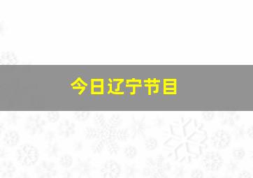 今日辽宁节目