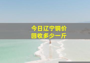 今日辽宁铜价回收多少一斤