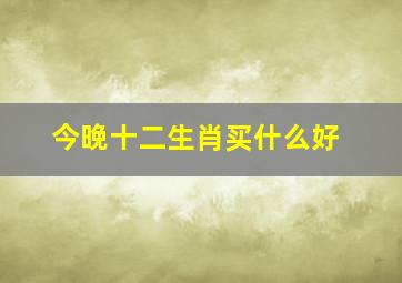 今晚十二生肖买什么好