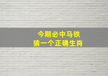 今期必中马铁猜一个正确生肖