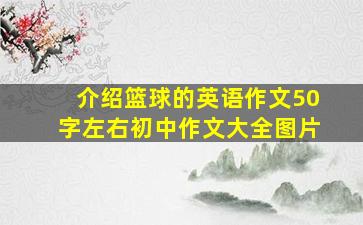 介绍篮球的英语作文50字左右初中作文大全图片