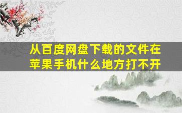 从百度网盘下载的文件在苹果手机什么地方打不开