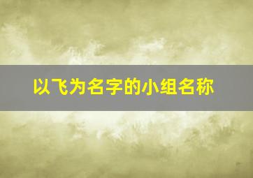 以飞为名字的小组名称