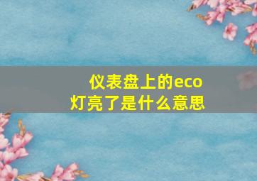 仪表盘上的eco灯亮了是什么意思