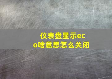 仪表盘显示eco啥意思怎么关闭