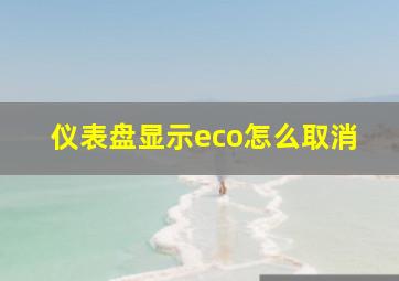 仪表盘显示eco怎么取消