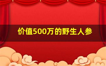 价值500万的野生人参