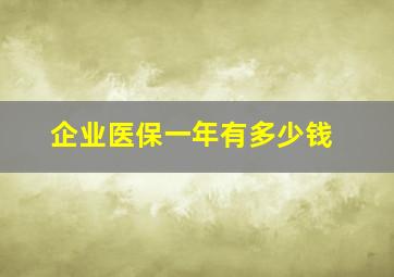 企业医保一年有多少钱