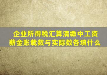 企业所得税汇算清缴中工资薪金账载数与实际数各填什么