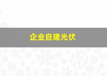 企业自建光伏