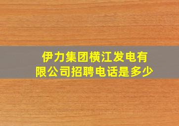 伊力集团横江发电有限公司招聘电话是多少