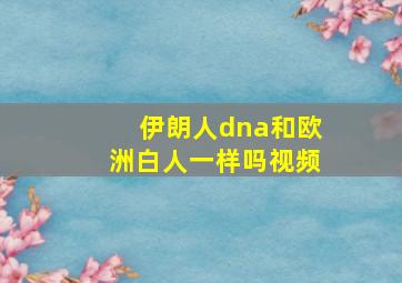 伊朗人dna和欧洲白人一样吗视频